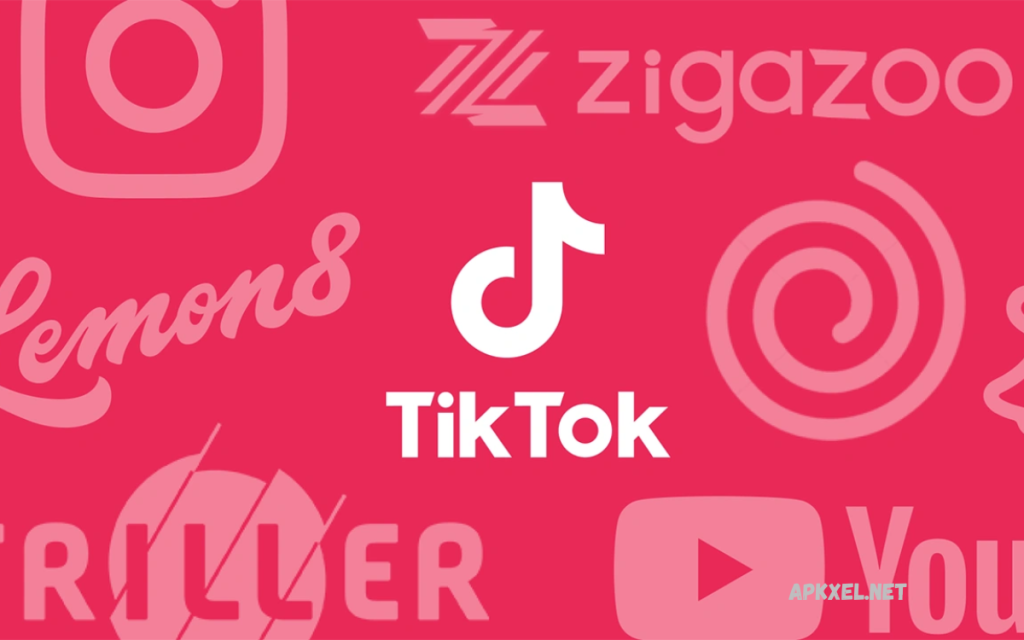 Best Alternatives to TikTok