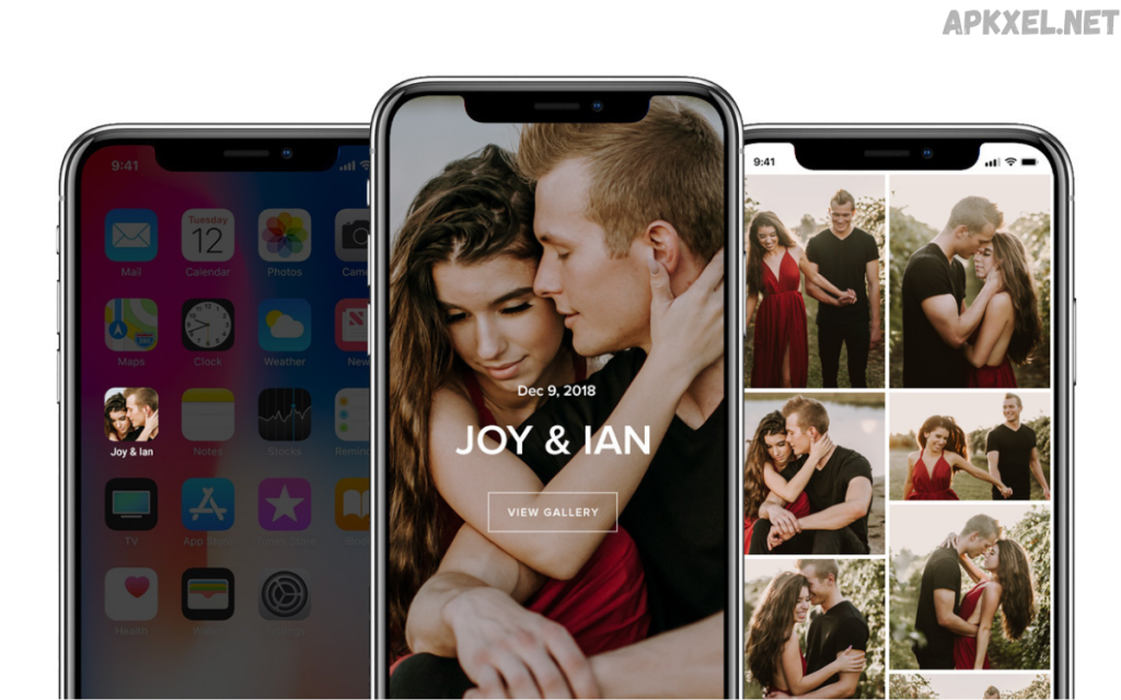 Photo Gallery Apps: The Complete Professional Guide for Organizing, Managing, and Protecting Your Visual Assets Photo Gallery Apps